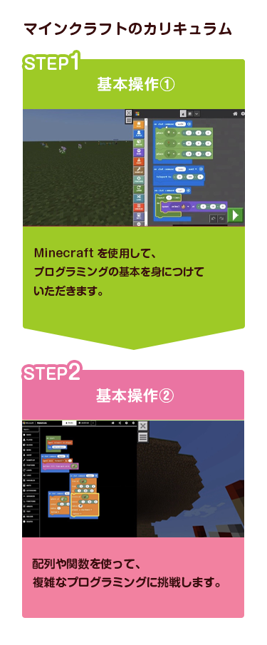 マインクラフトのカリキュラム